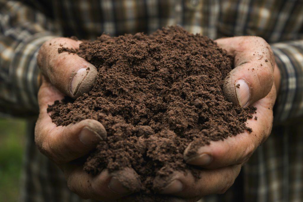 为农业或种植桃子而持有土壤的人的特写手-土壤类型:初学者指南