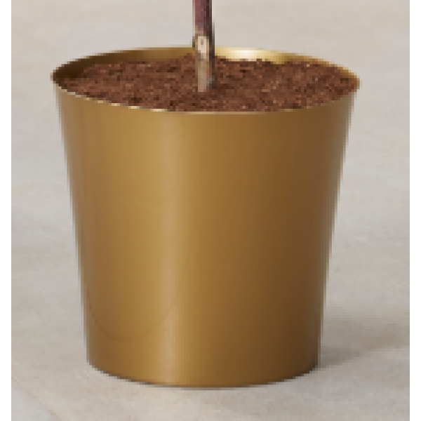 黄金盖锅——20厘米直径